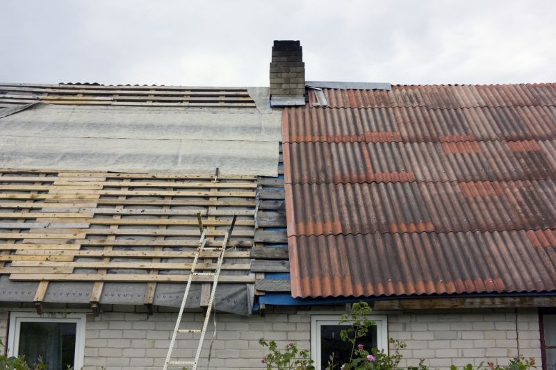 Shed Roof Repair in Alpharetta, GA