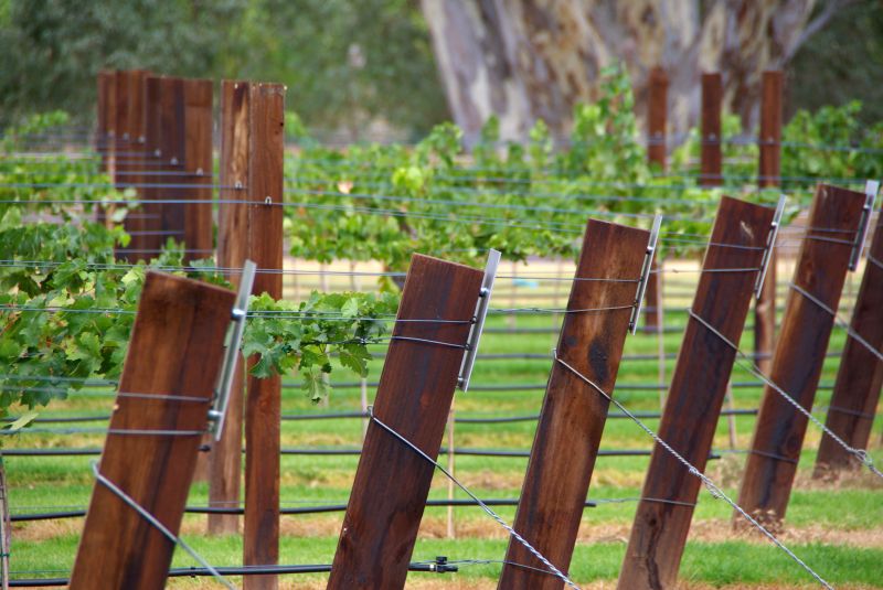 Trellis Fence Construction in Conroe, TX